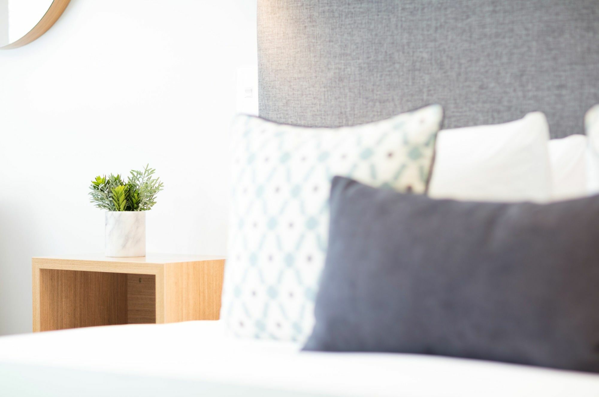 Beechwood Boutique Accommodation Дьюндин Экстерьер фото